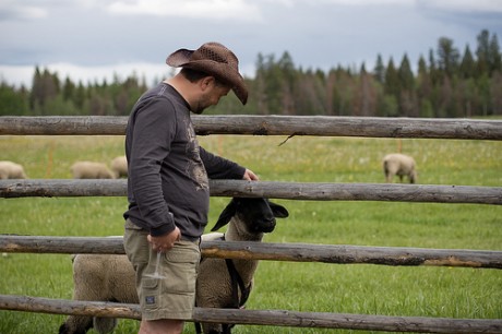 Lessons in animal husbandry on the Cutter Ranch.