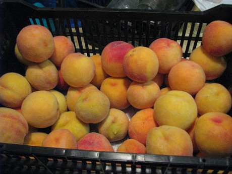 Crate of freestone peaches ready to become bourboned peaches.