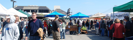 Outdoor market on Saturdays is located all around the Ferry Building.  It's huge!