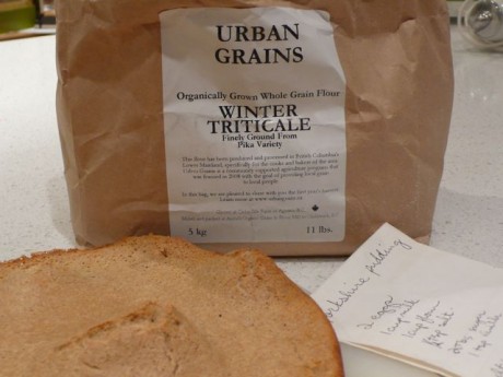 Urban grain Yorkshire