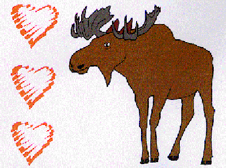 moose1