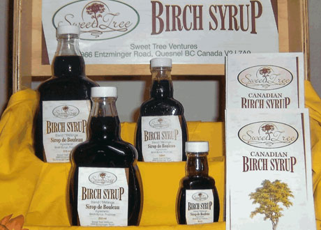 sweet-tree-birch-syrup