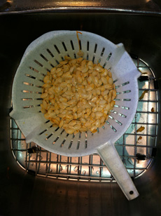 Separated pumpkin seeds in a collander