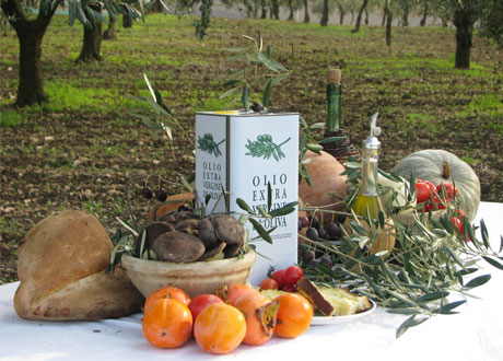 Creanza_Olives_In_Orchard