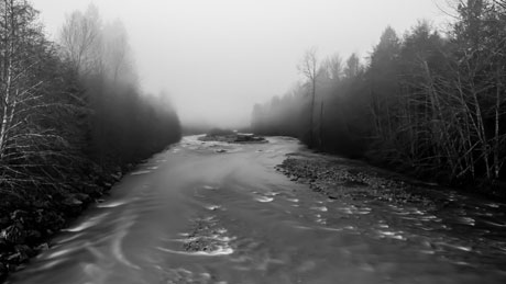 Foodists-Brackendale-Sunwolf-Cheakamus-River